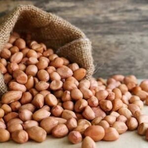 Raw Groundnuts (Peanuts) for oil